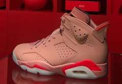 Air Jordan 6 Aleali May