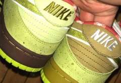 Ʒ֮Dunk SB ȫ»Ϻϸڿ